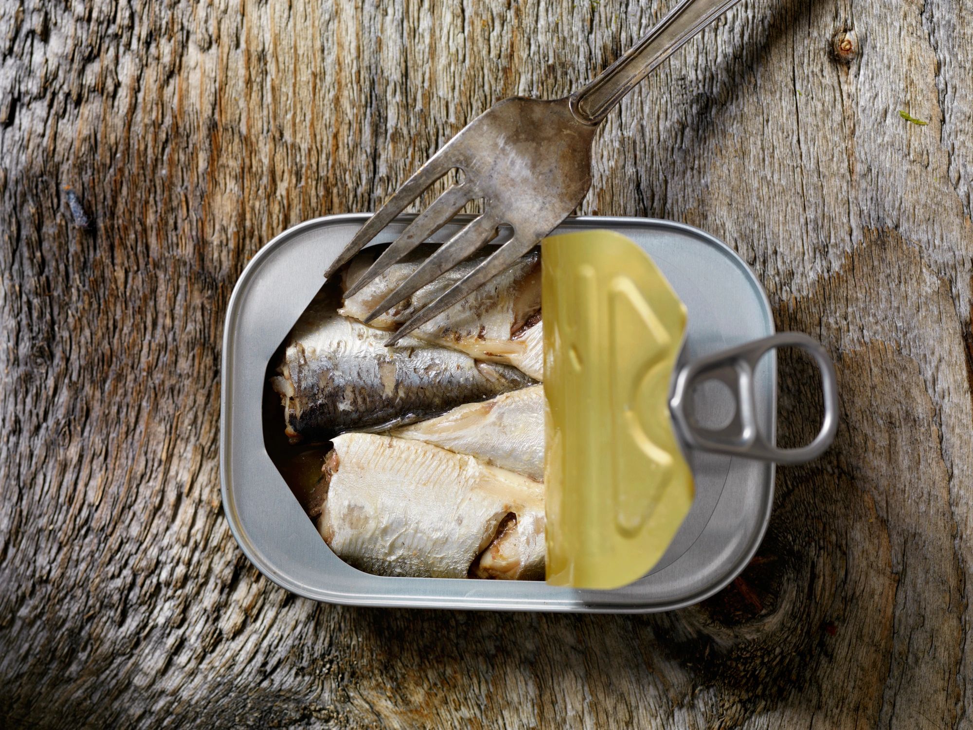 Tin of sardines